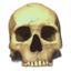Uživatelský avatar